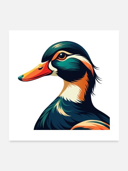Ente Cartoon Figur Buntes Haustier Tier - Poster 60x60 cm - Weiß - Vorne