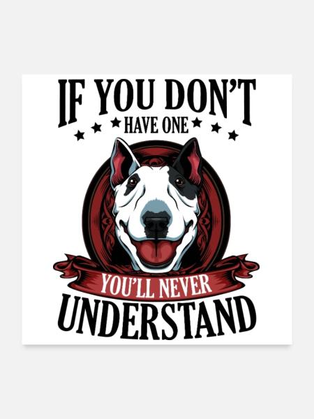 Bull Terrier - Poster 60x60 cm - Weiß - Vorne
