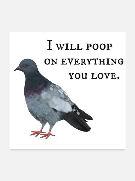 I will poop on everything you love - Taube - Poster 60x60 cm - Weiß - Vorne