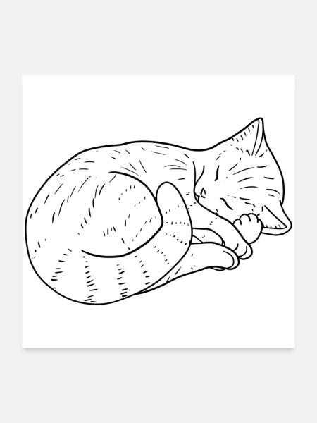 Katze Zeichnung - Poster 60x60 cm - Weiß