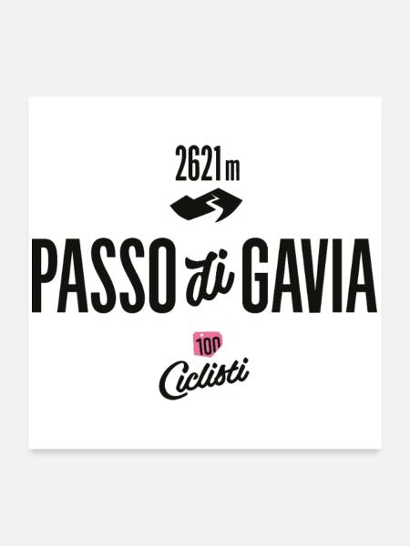 Gavia Pass - Poster 60x60 cm - Weiß - Vorne