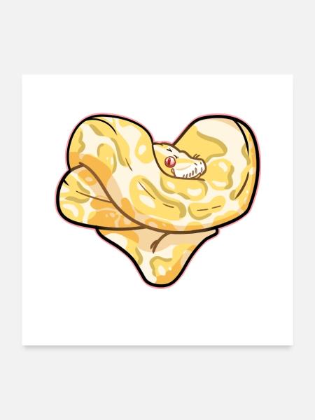 Neugierige Python Dschungelbewohner - Poster 60x60 cm - Weiß - Vorne