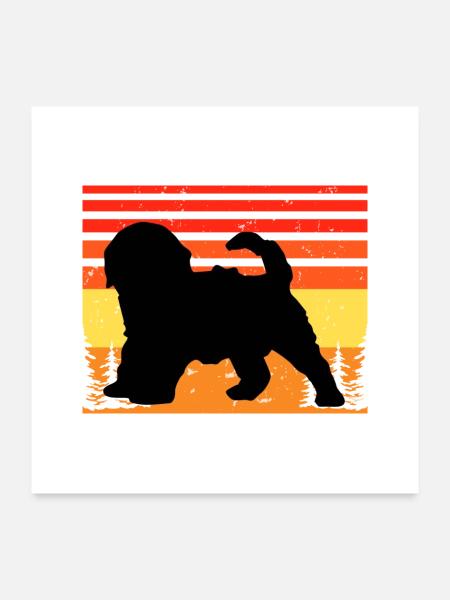 Cockapoo Hundeliebhaber Silhouette Vintage Sonnenuntergang - Poster 60x60 cm - Weiß - Vorne