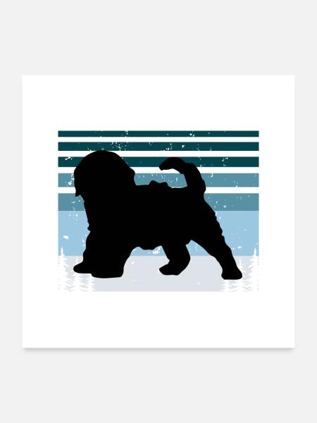 Cockapoo Hundeliebhaber Silhouette Vintage Sonnenuntergang - Poster 60x60 cm - Weiß - Vorne