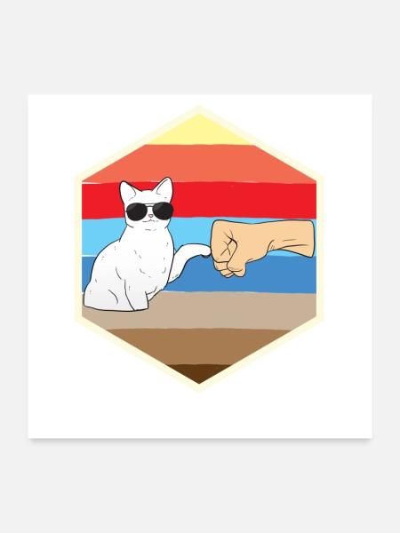 Katzenfreund Katzenliebhaber Cool Katze - Poster 60x60 cm - Weiß - Vorne