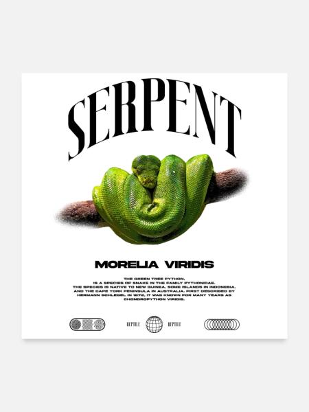 Green Tree Python Modern Reptile Keeper Streetwear - Poster 60x60 cm - Weiß - Vorne