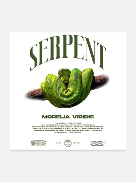 Green Tree Python Modern Reptile Keeper Streetwear - Poster 60x60 cm - Weiß - Vorne