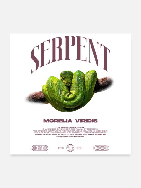Green Tree Python Modern Reptile Keeper Streetwear - Poster 60x60 cm - Weiß - Vorne