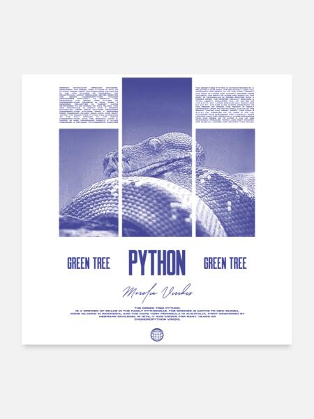 Green Tree Python Modern Reptile Keeper Streetwear - Poster 60x60 cm - Weiß - Vorne