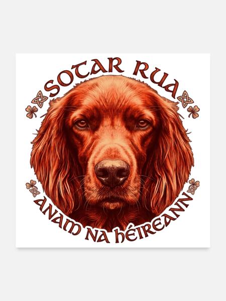 Celtischer Irish Setter Kreis - Poster 60x60 cm - Weiß - Vorne