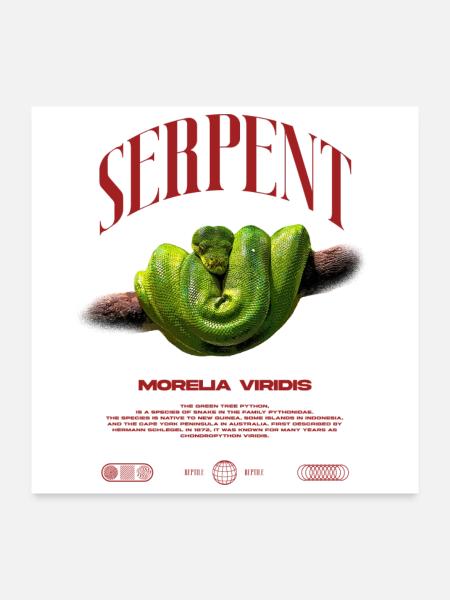 Green Tree Python Modern Reptile Keeper Streetwear - Poster 60x60 cm - Weiß - Vorne