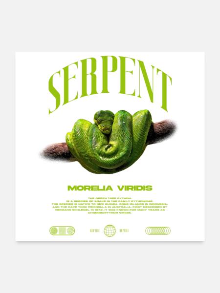 Green Tree Python Modern Reptile Keeper Streetwear - Poster 60x60 cm - Weiß - Vorne