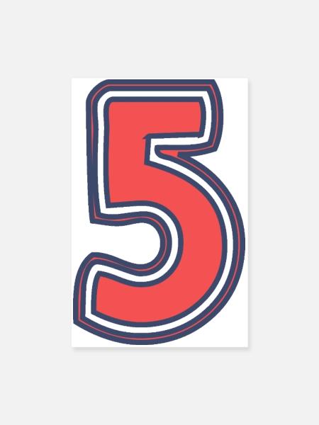 5. 5 YEARS. 5th ANNIVERSARY. 5 YEAR ANNIVERSARY - Poster 8" x 12" (20x30 cm) - white - Front