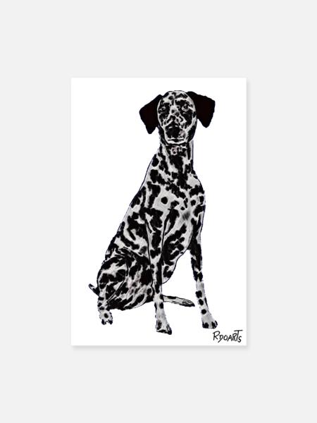 Beau chien dalmate - Poster 20 x 30 cm - blanc - Devant