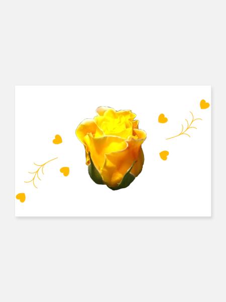 rose yellow rose - Poster 90x60 cm - Weiß