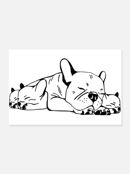 French Bulldog Mama - Poster 90x60 cm - Weiß