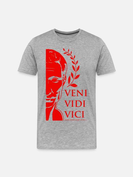 César 4 - T-shirt bio Premium Homme - gris chiné