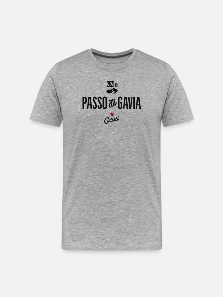 Gavia Pass - Männer Premium Bio T-Shirt - Grau meliert