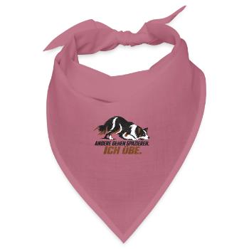 Border Collie - ANDERE GEHEN SPAZIEREN. ICH ÜBE. - Bandana Dreieckstuch - Mauve - Vorne