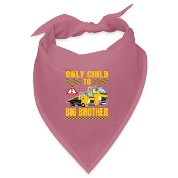 Big Brother Level Load Only Child Level Complete - Bandana Dreieckstuch - Mauve - Vorne
