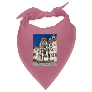 Treppe der Burg von Blois - Bandana Dreieckstuch - Mauve - Vorne