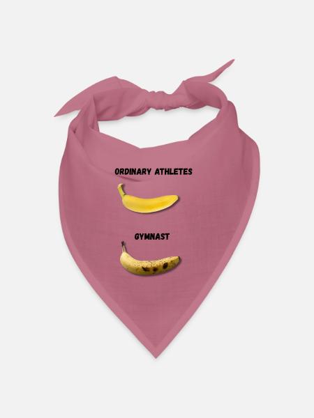 Ordinary Athletes vs Gymnast - Bandana Dreieckstuch - Mauve