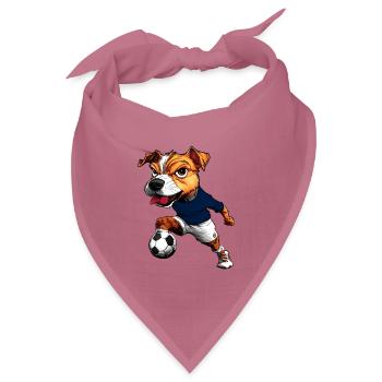 JRT Fussball - Bandana Dreieckstuch - Mauve - Vorne