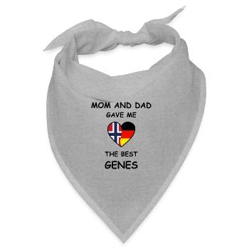 Norwegen und Deutschland - Best Genes Wurzeln - Bandana Dreieckstuch - Grau meliert - Vorne