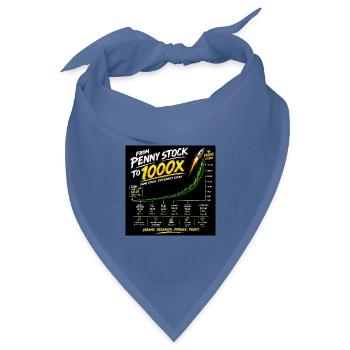 Von Penny Stock zu 1000x - Bandana Dreieckstuch - Taubenblau - Vorne