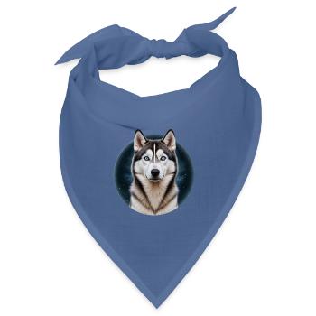 Husky Sternennacht Kreis - Bandana Dreieckstuch - Taubenblau - Vorne