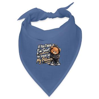 8591be6f-4caa-430e-a4a7-68b3026f15bb - Bandana Dreieckstuch - Taubenblau - Vorne