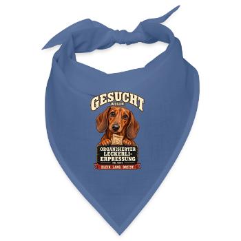 Liebevolles und humorvolles Dackel Design - Bandana Dreieckstuch - Taubenblau - Vorne