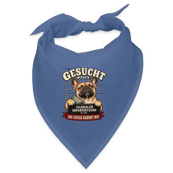 Französische Bulldogge - Polizeifoto - Bandana Dreieckstuch - Taubenblau - Vorne