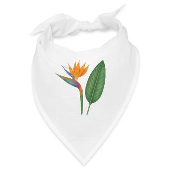 Strelitzie – exotische Blütenpracht - Bandana - Weiß - Vorne