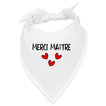 MEISTER. MEISTER. VIELEN DANK. DANKE, MEISTER. MEISTER - Bandana - Weiß - Vorne