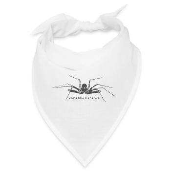 Geißelspinne - Amblypygi - Bandana - Weiß - Vorne