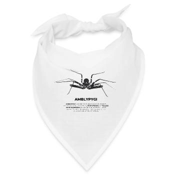 Geißelspinne - Amblypygi - Bandana - Weiß - Vorne