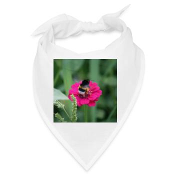 Hummel schwebt über pinker Blume - Bandana - Weiß - Vorne