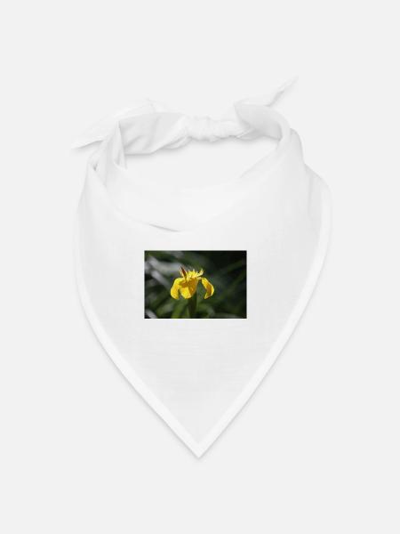 Schwertlilie Lilie gelbe Blume - Bandana Dreieckstuch - Weiß