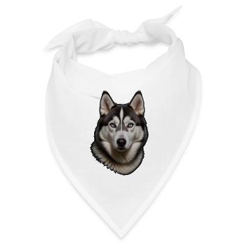 Husky  Porträt - Bandana Dreieckstuch - Weiß - Vorne