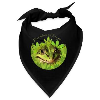 Frosch küss mich Prinz - Bandana - Schwarz - Vorne