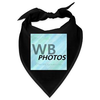 HELLBLAUES WBP-LOGO - Bandana - Schwarz - Vorne