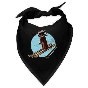 Schneefreudiger Skihund Winterurlaub - Bandana - Schwarz - Vorne