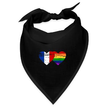 Frankreich Regenbogen Flagge used - Bandana Dreieckstuch - Schwarz - Vorne