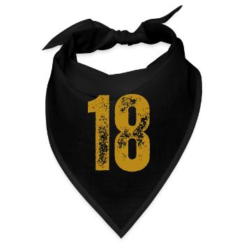 18 - Bandana Dreieckstuch - Schwarz - Vorne