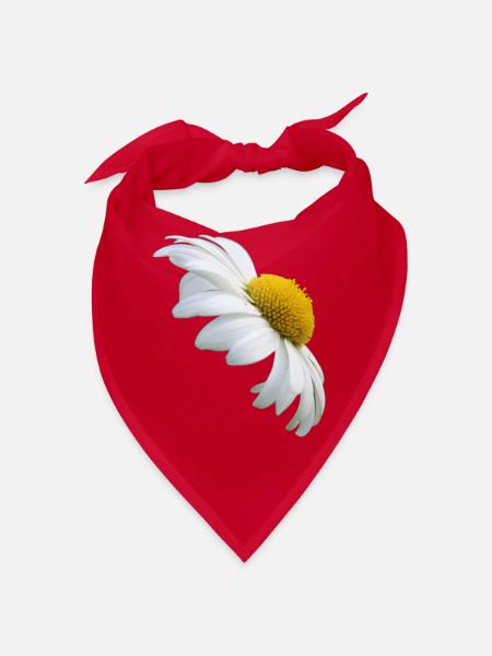 Margeriten Margerite weiße Blume Gänseblume - Bandana - Rot - Vorne