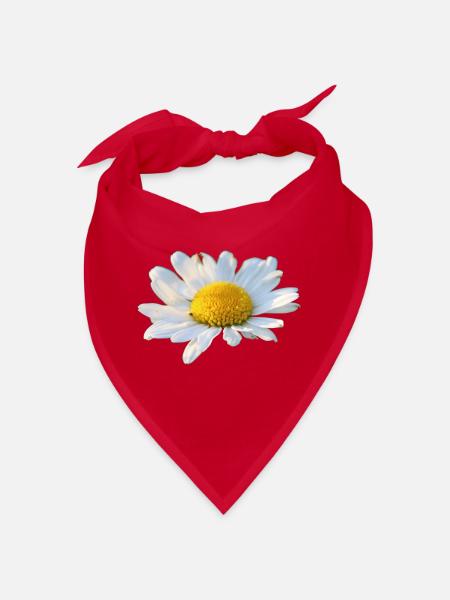 Margeriten Margerite weiße Blume Gänseblume - Bandana - Rot - Vorne