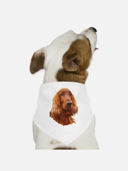 Irish Setter Red - Hunde-Bandana - Weiß - Vorne