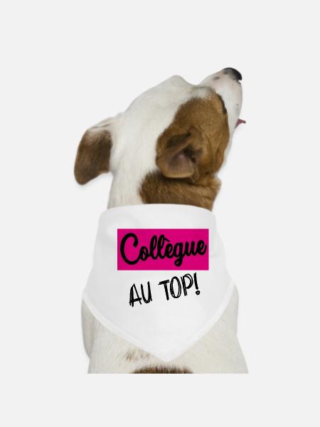 KOLLEGE - Hunde-Bandana - Weiß - Vorne