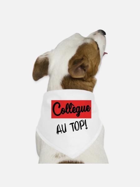 KOLLEGE. ANFANGEN. RUHESTAND. BESCHÄFTIGUNG. HUMOR - Hunde-Bandana - Weiß - Vorne